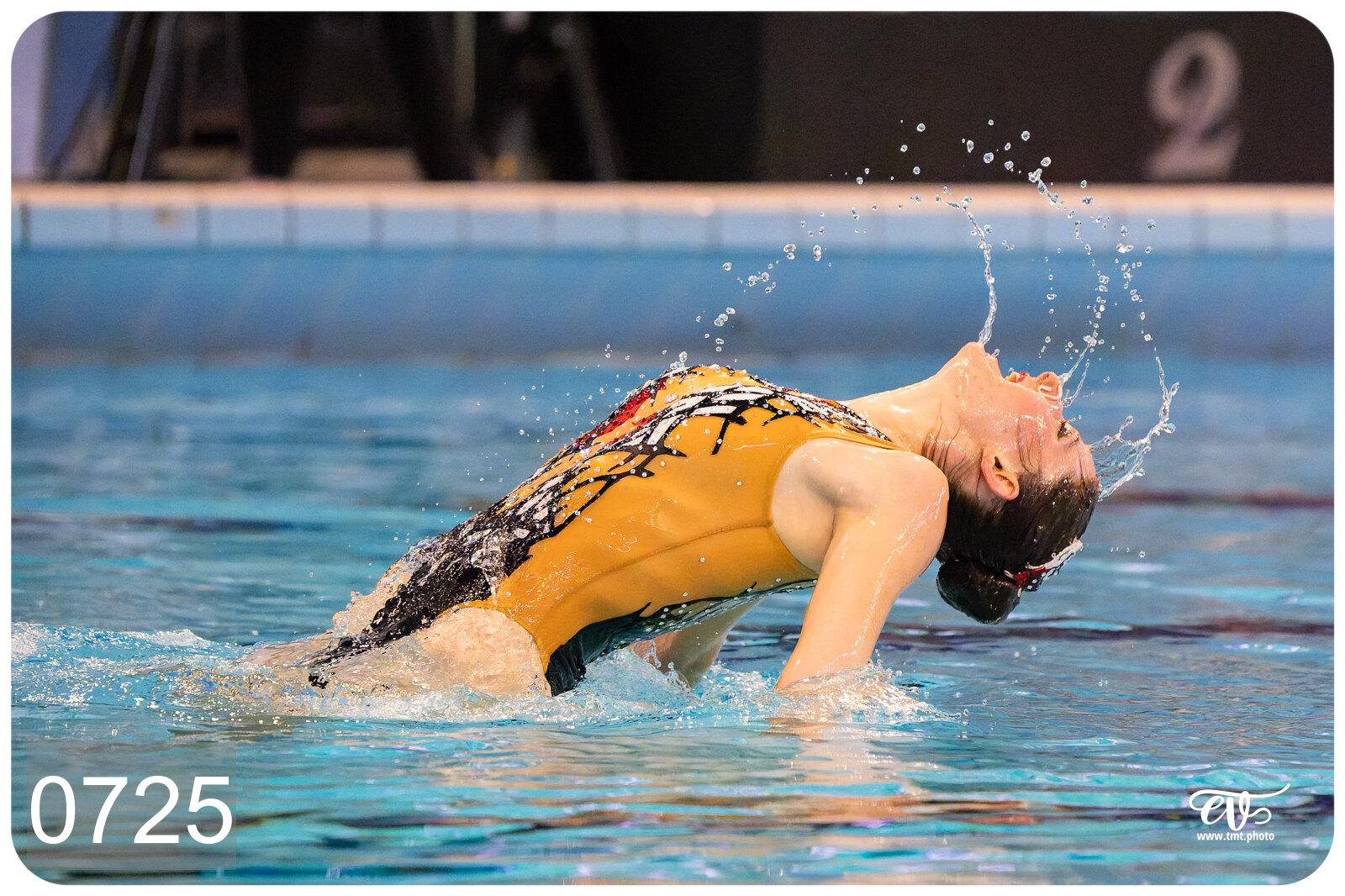 CHAMPIONNAT DE FRANCE DE NATATiON ARTISTIQUE N1 & ELITE 2026
